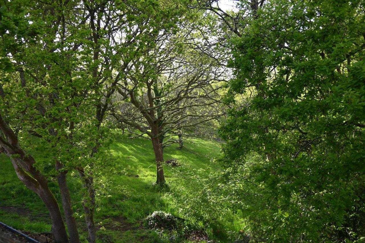 Aux Arbres Chanteurs Ploulech Exterior foto